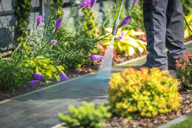 Best Patio and Deck Pressure Washing  in Middleport, NY