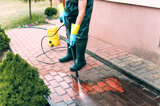 Best Animal Enclosure Cleaning  in Middleport, NY
